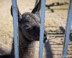 40d2cb35914c4e3b8aea05072231a973