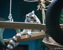 45489fbfa5c04178ee3359d27821c4ab